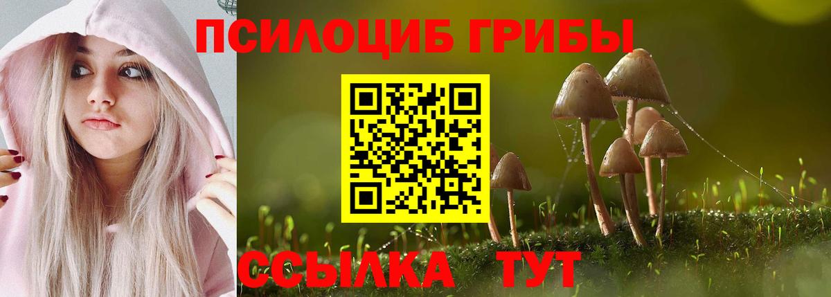где продают   Галлюциногенные грибы GOLDEN TEACHER  Вход с VPN  Псилоцибиновые грибы Cubensis  Мурманск 