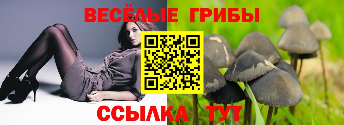 Псилоцибиновые грибы мухоморы Мурманск